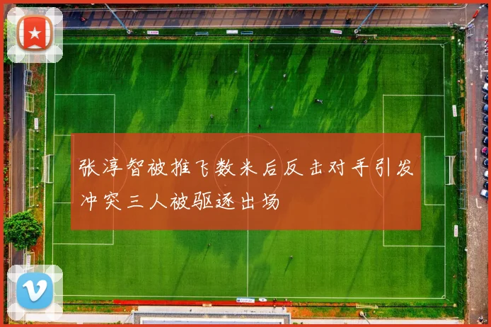 张淳智被推飞数米后反击对手引发冲突三人被驱逐出场